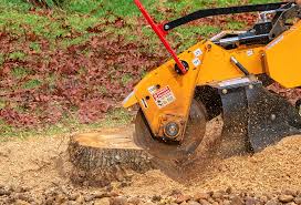 Best Tree Cabling and Bracing  in Clearlake, CA